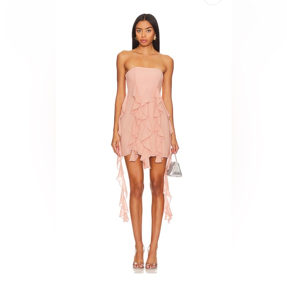REVOLVE Dresses & Skirts - Revolve Denali Blush Mini Dress